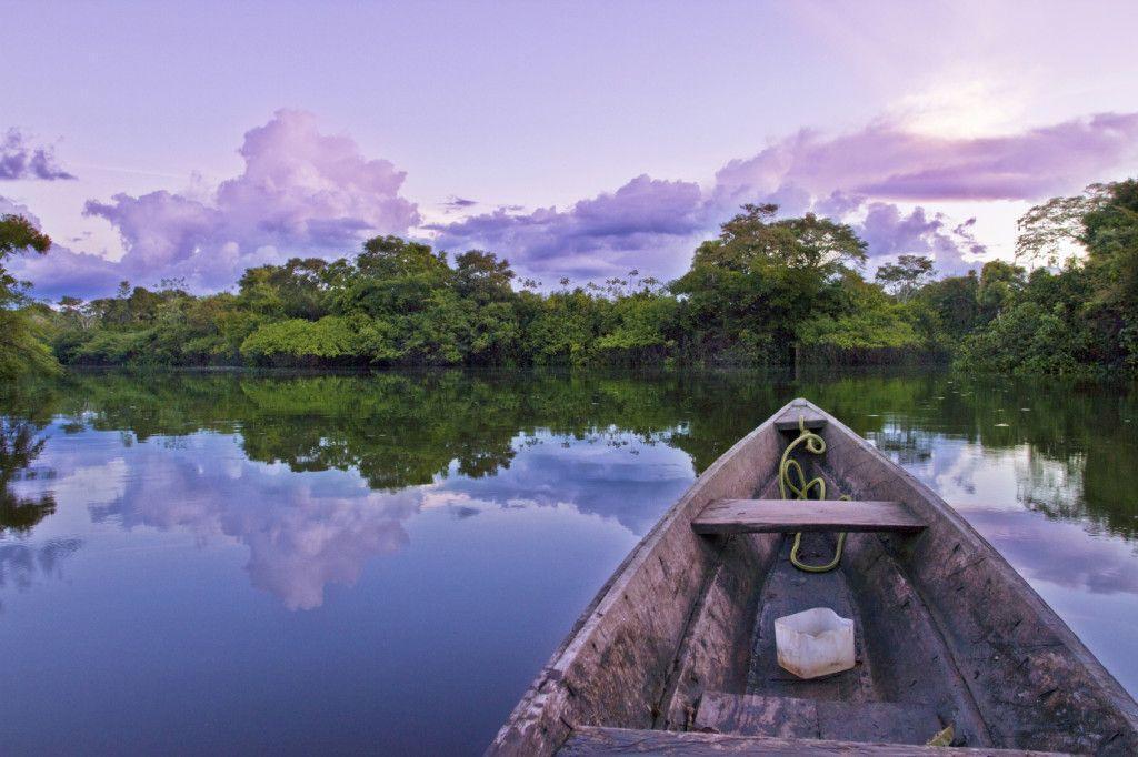 Featured image of post Fotos Do Rio Amazonas - Galeria de fotos originais do rio amazonas com trilha sonora de guilherme arantes.