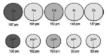 exercicio-raio-atomico