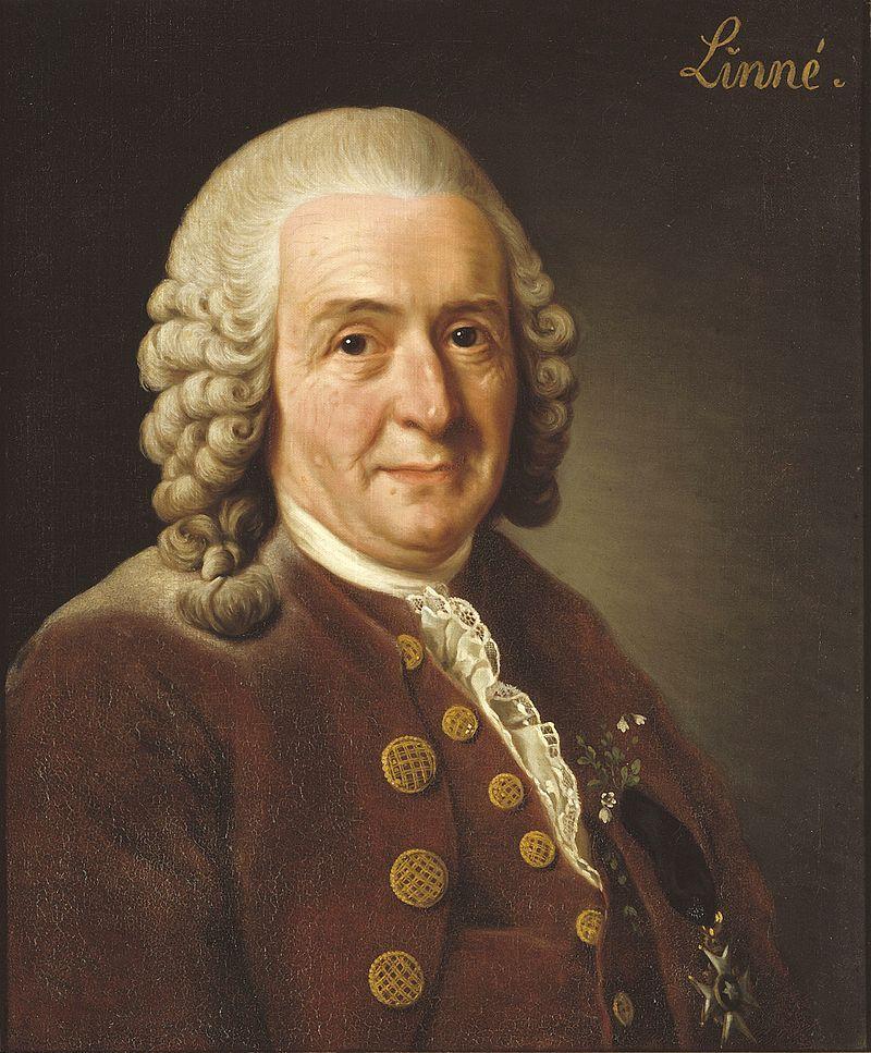Carolus Linnaeus, criador do método binomial para os nomes das espécies.