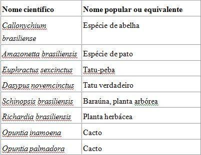 WINWORD_2016-04-06_02-31-51