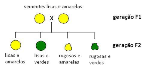 segunda lei-- fonte alunosonline.uol.com.br