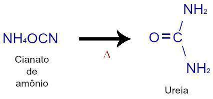 Imagem: Reprodução