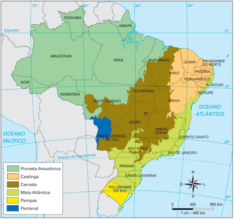 A Mata Atlântica É O Exemplar Brasileiro De Que Tipo