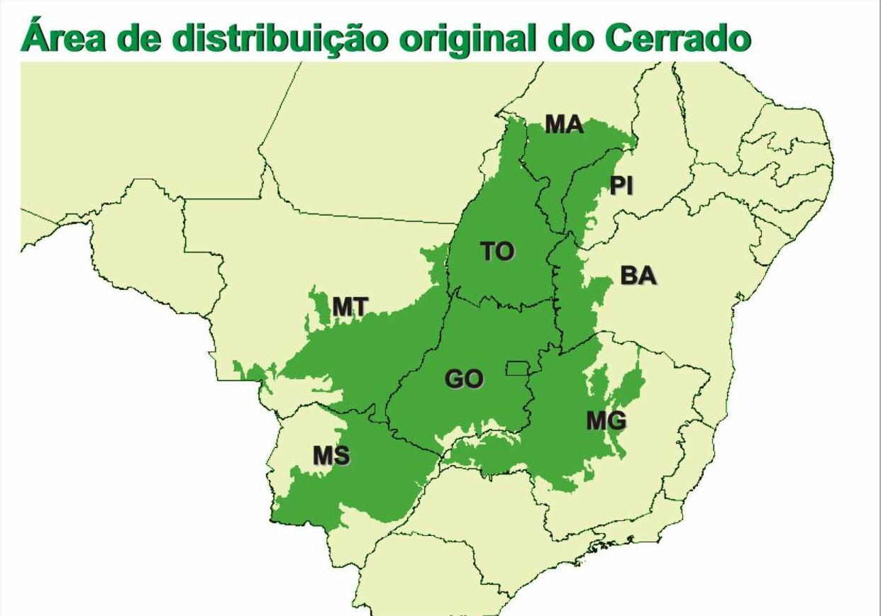 Cerrado: fauna, flora, clima, hidrografia, mapa [resumo]