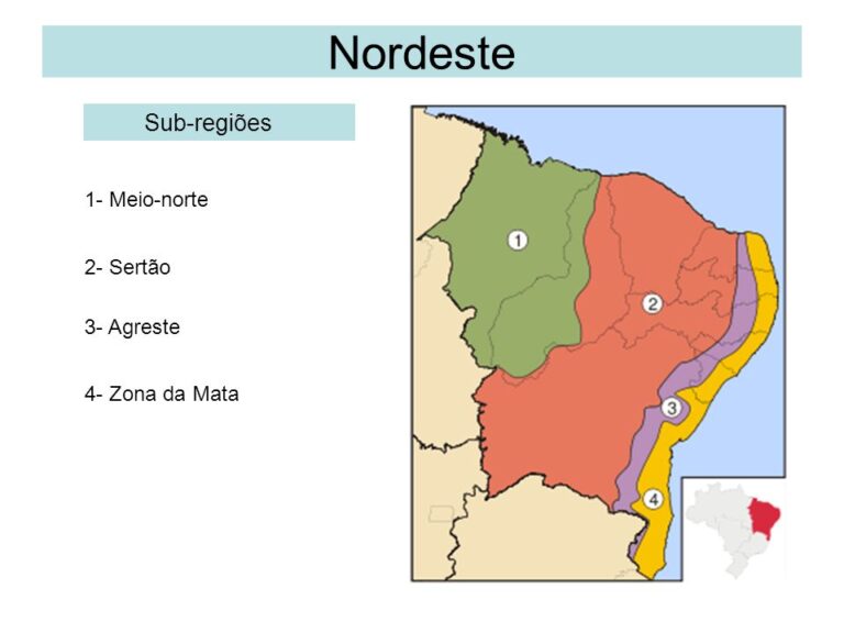 Zona da Mata quadro natural e características [resumo]