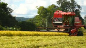 revolução verde