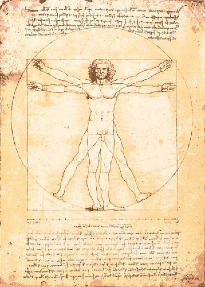Antropocentrismo: característica, significado e imagens [resumo completo]