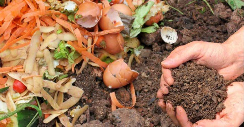 compostagem