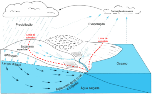 ciclos biogeoquímicos