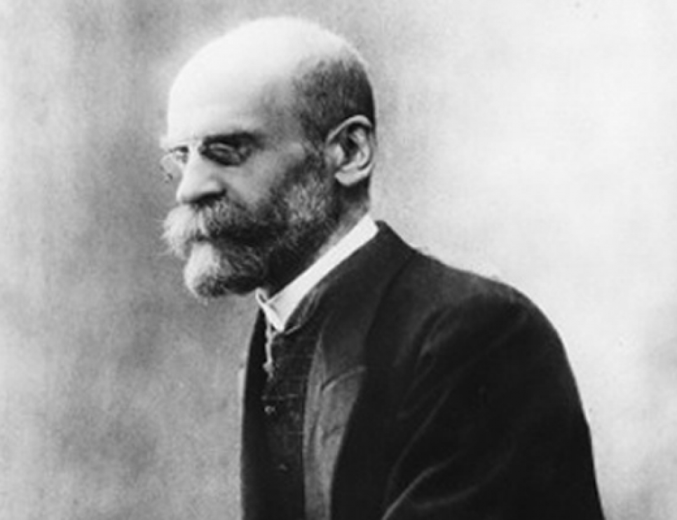 Durkheim e o fato social: instituição social e anomia [resumo]