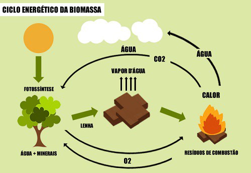 biomassa