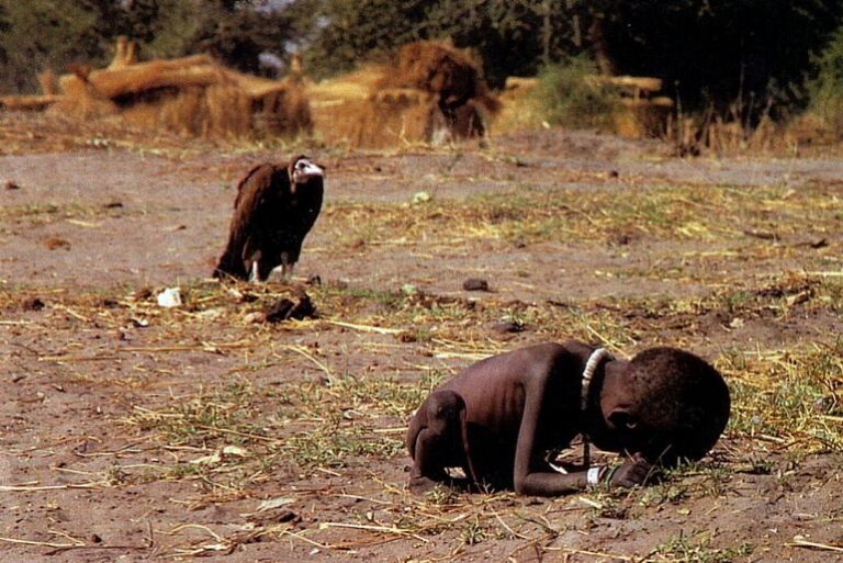 Fome na África: causas, consequências e soluções [resumo]