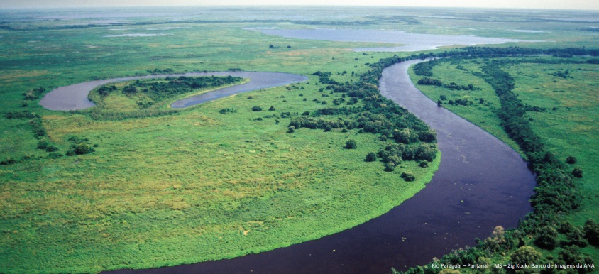 bacia do paraguai