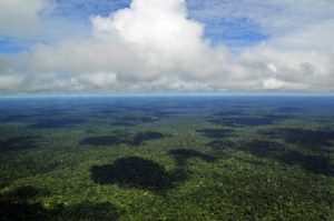 fundo amazônia