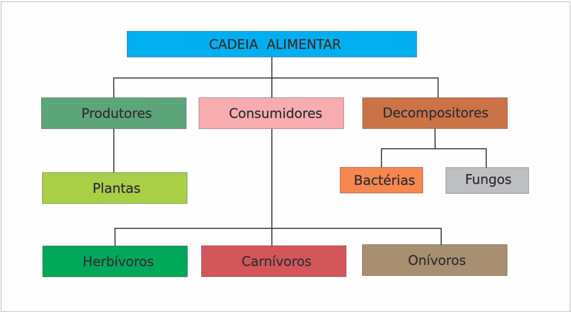 O Que São Seres Produtores De Exemplos