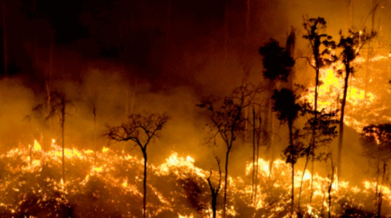 incêndios florestais