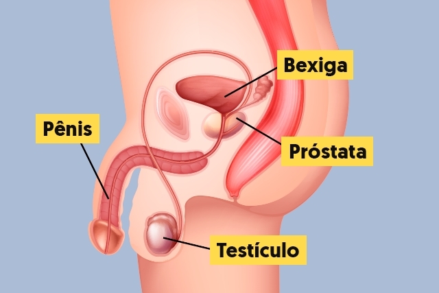 Cancerul de prostată | MEDAS