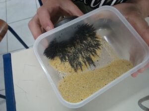 separação magnética experimento