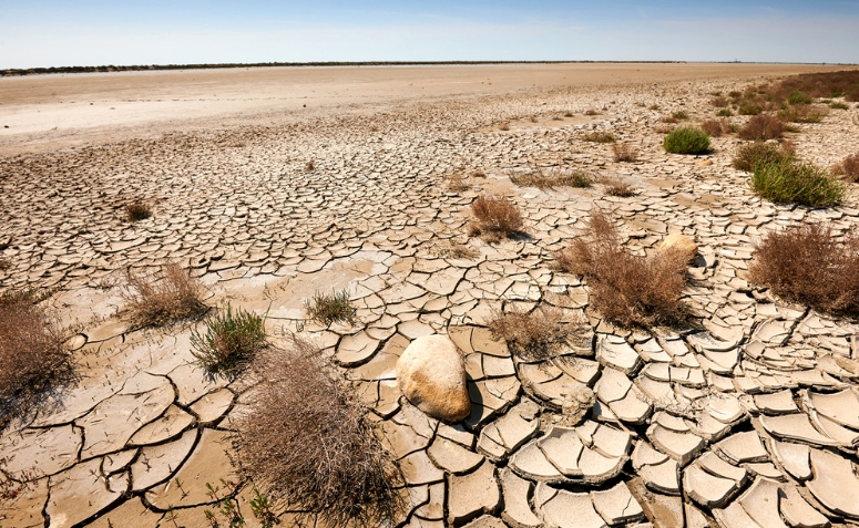 Resultado de imagem para Desertificação