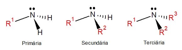 amina primaria secundaria terciaria