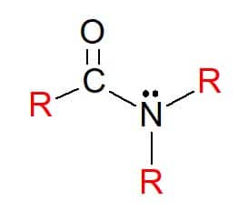 funções nitrogenadas amida