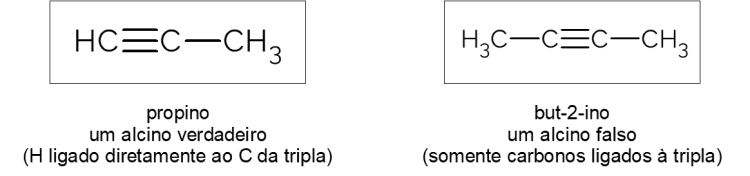 classificação dos alcinos