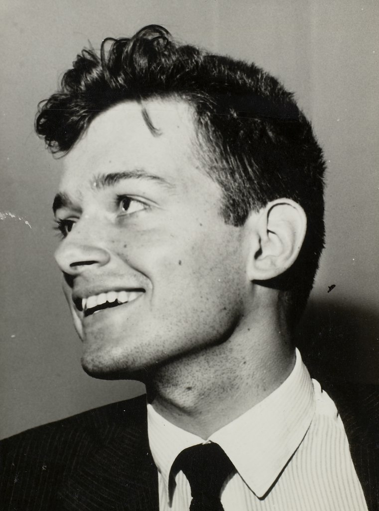 filosofos brasileiros